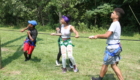 Students working together to pull a rope