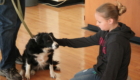girl pets dog