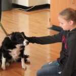 girl pets dog