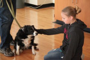 girl pets dog