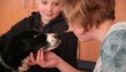 Girl and dog look into each others eyes