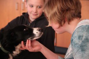 girl and dog look each other closely in the eye