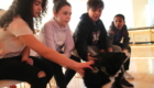 Students pet the black and white dog