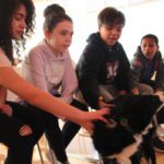 Students pet the black and white dog