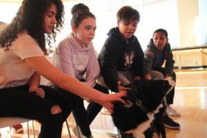 Students pet the black and white dog