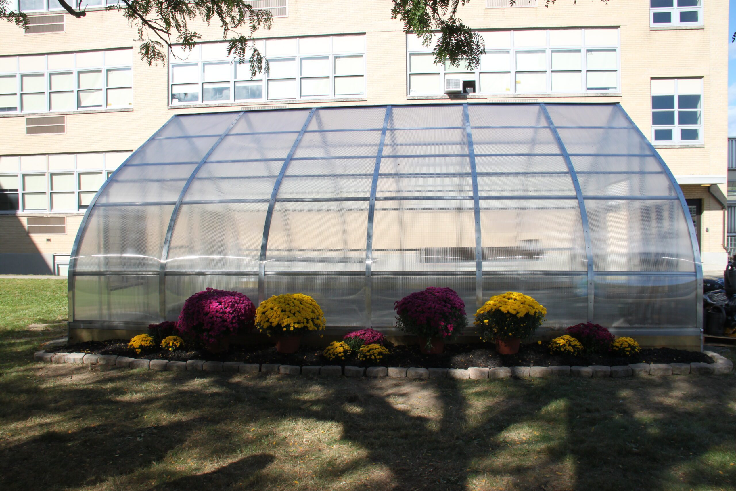 Spring Concerts in the Courtyard