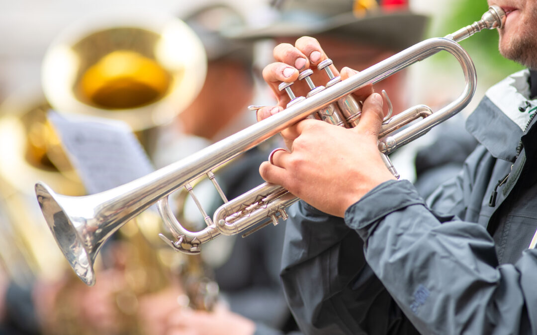 Calling THS Band Alumni!